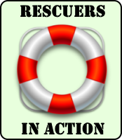 Rescuers in Action logo badge